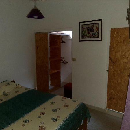 Hotel Backpacker Kitara House Tarapoto Zewnętrze zdjęcie