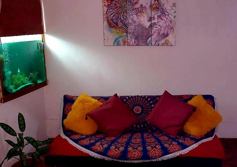 Hotel Backpacker Kitara House Tarapoto Zewnętrze zdjęcie