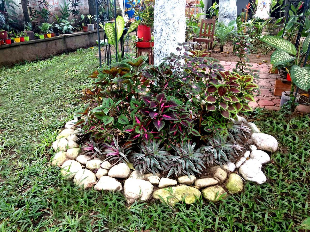 Hotel Backpacker Kitara House Tarapoto Zewnętrze zdjęcie