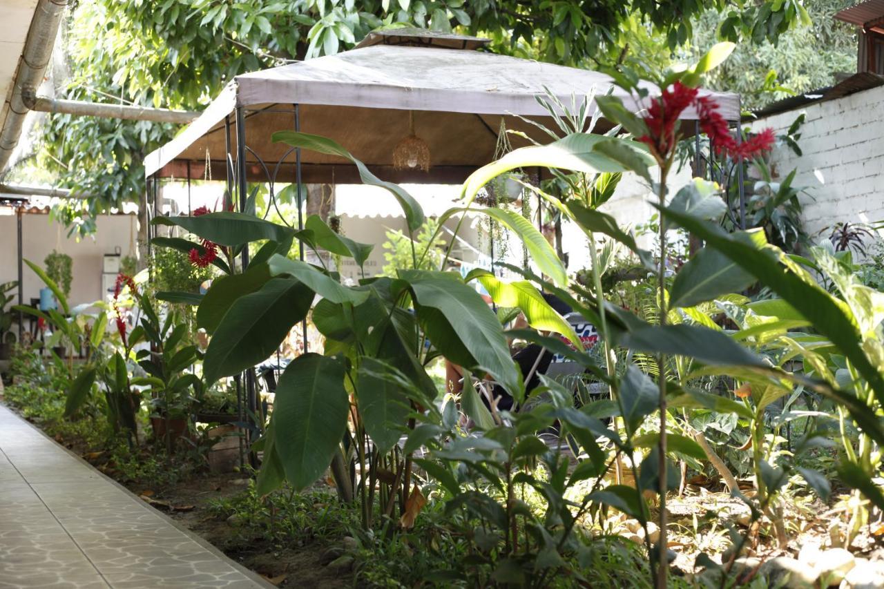 Hotel Backpacker Kitara House Tarapoto Zewnętrze zdjęcie